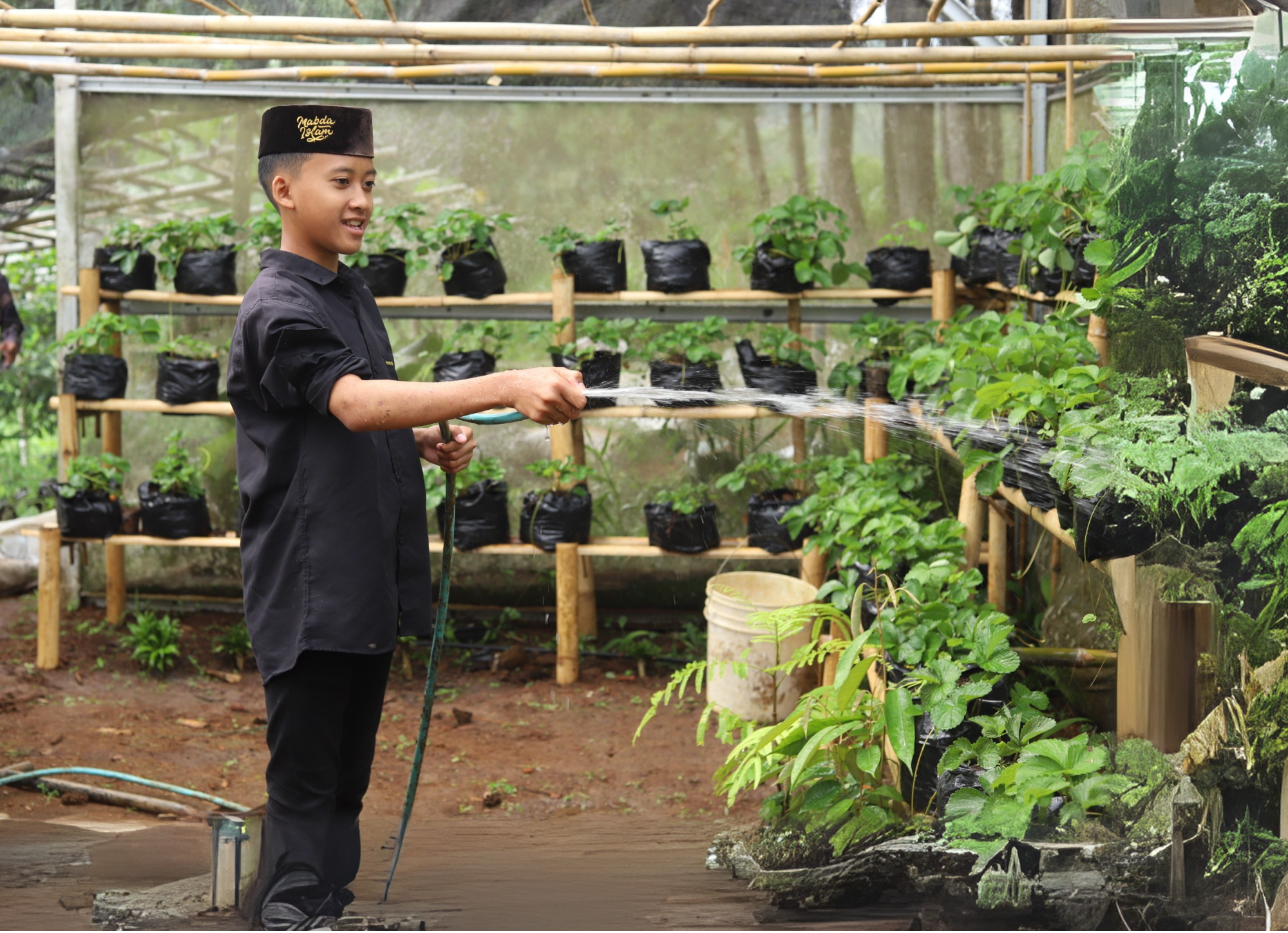 Program Wakaf Produktif